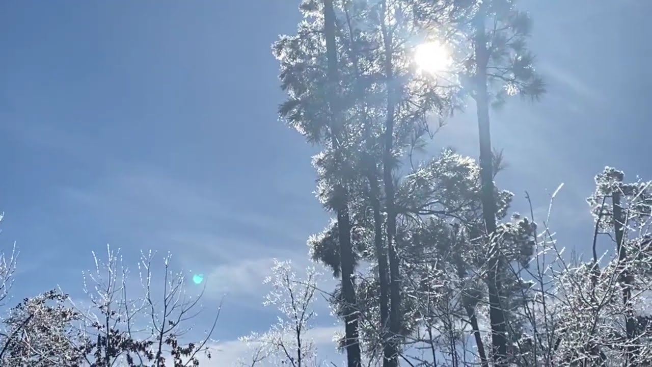 Slow down and get back to nature ~ healing and slow living in nature 