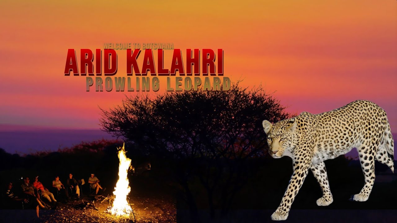 Beautiful Sandy Kalahari and Stalking Leopards | Dessert Magic || Welcome to Botswana Ep2