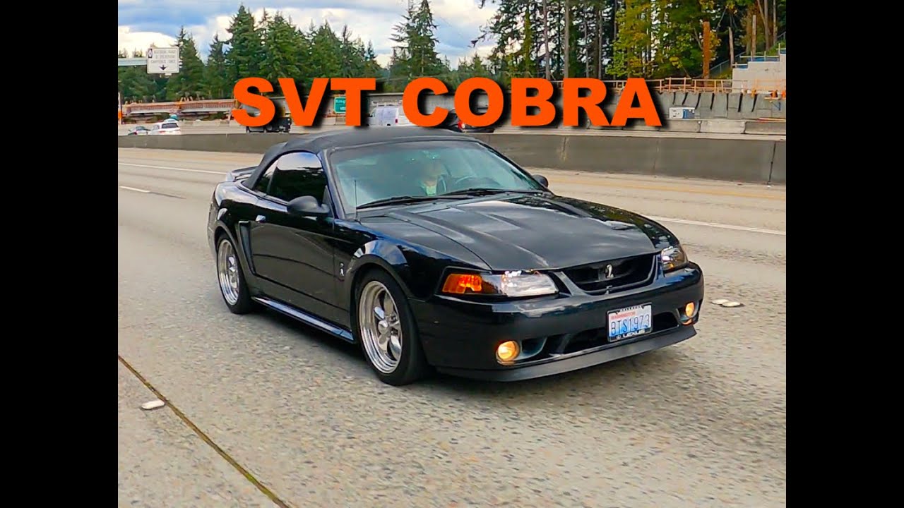 Mustang SVT Cobra 1999 года: тест-драйв и обзор