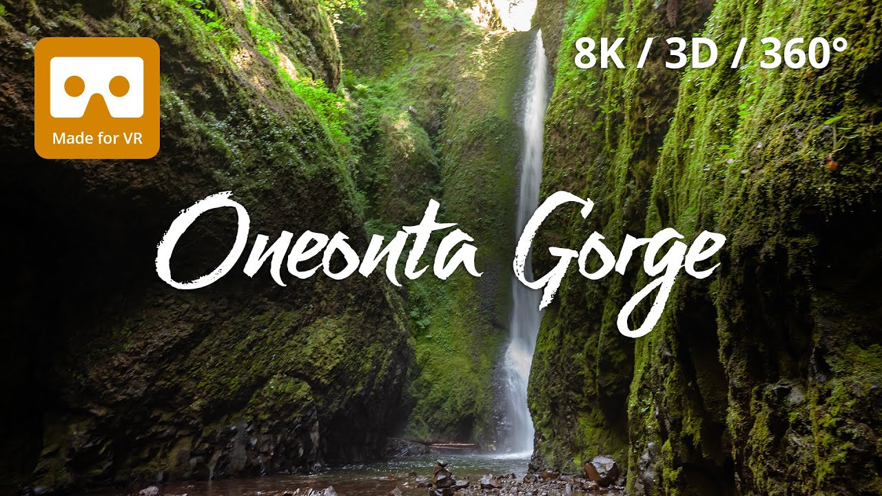 Oneonta Gorge & Lower Oneonta Falls 8K 360 VR Experience