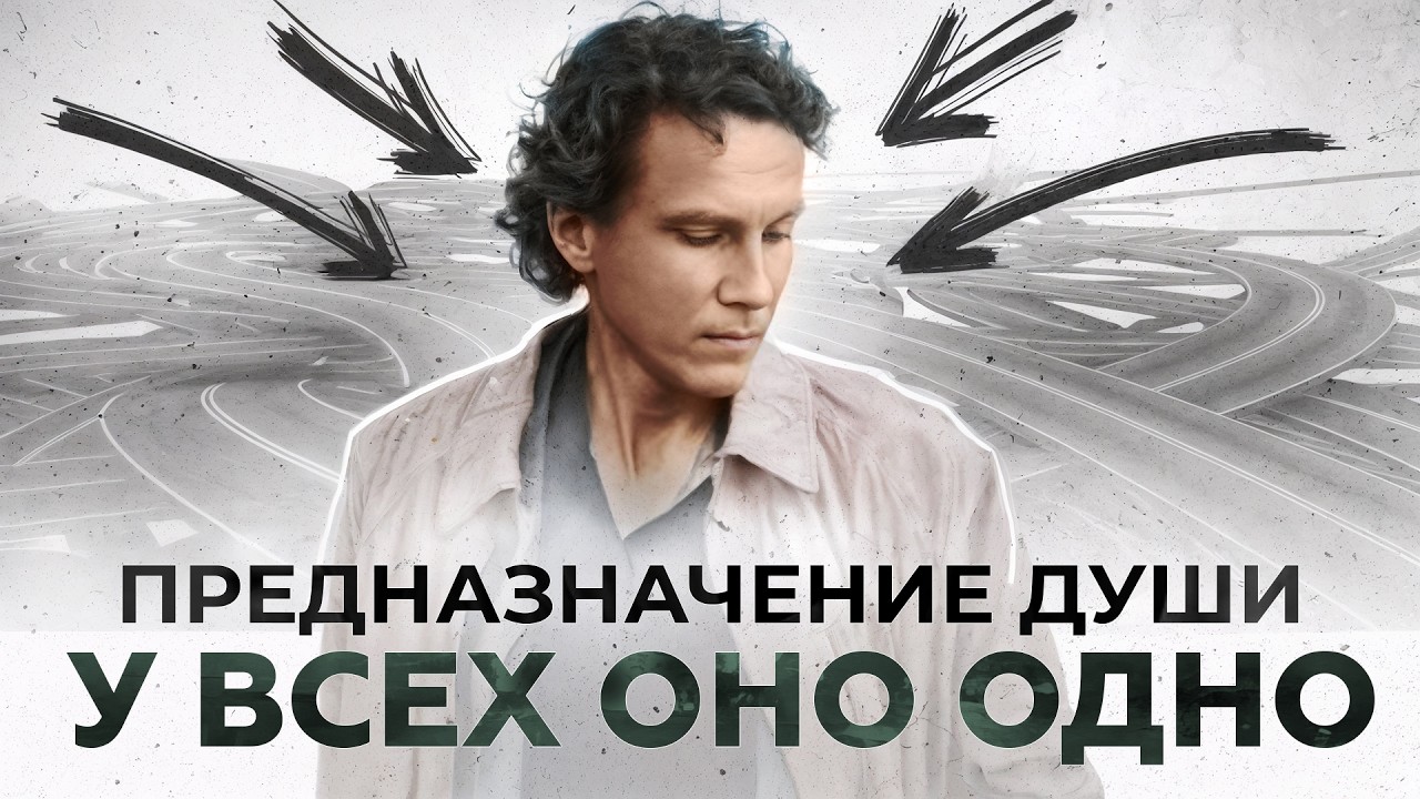 Главная ЛОЖЬ о предназначении: открытие, которое меняет взгляд на жизнь
