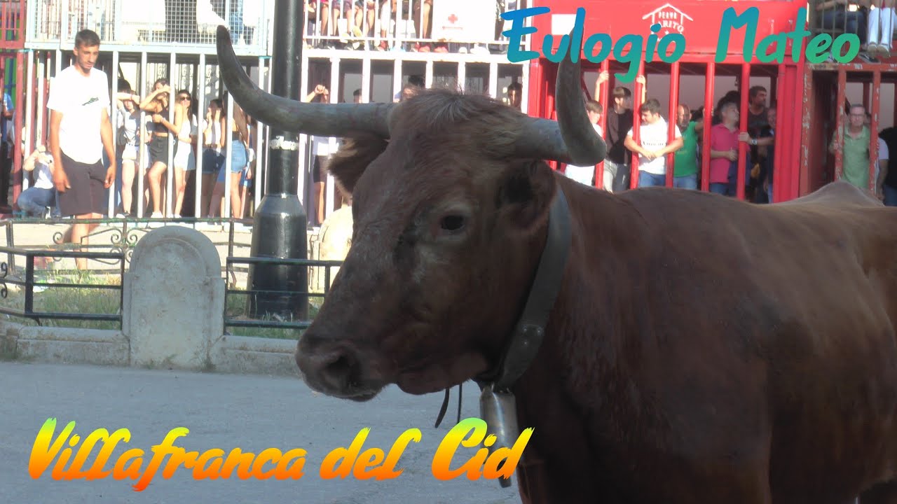 2022 06 04 VILLAFRANCA DEL CID EULOGIO MATEO