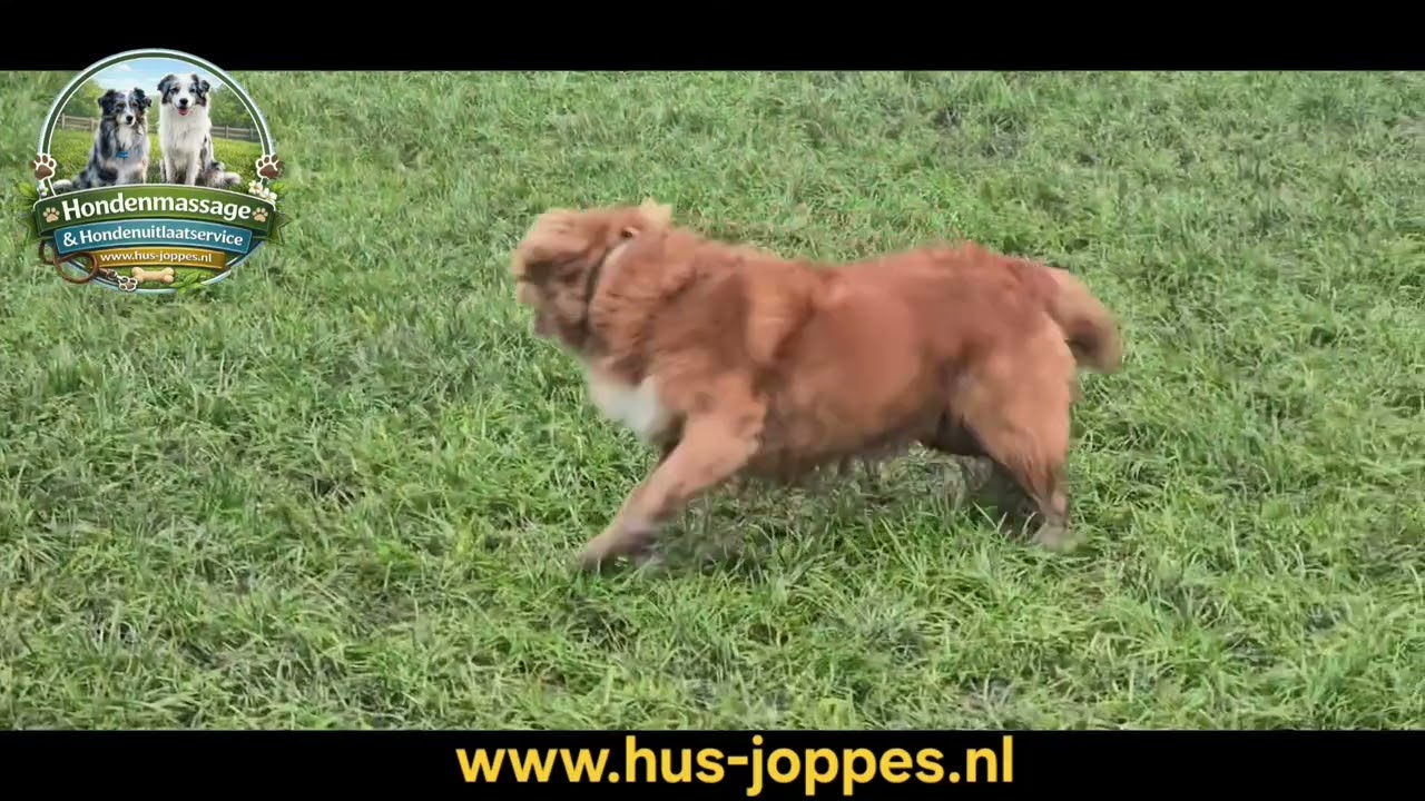 www.hus-joppes.nl