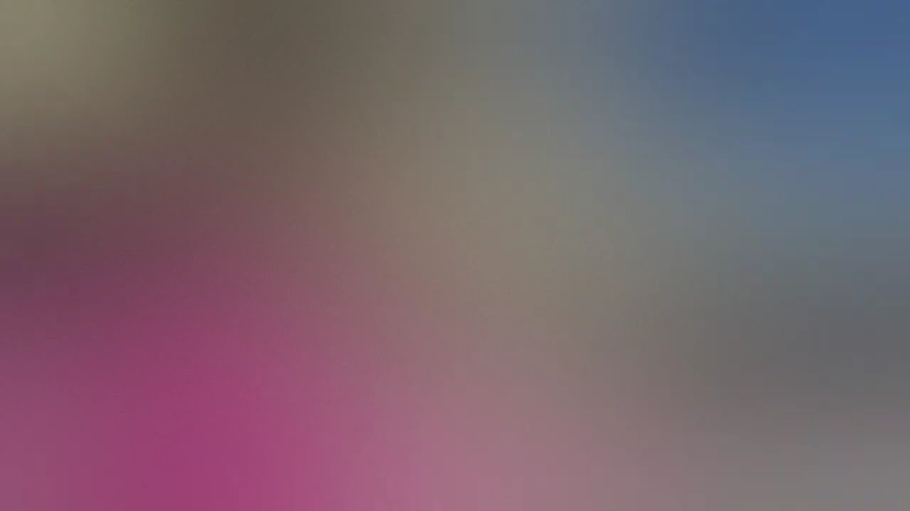 心情不好怎麽執法？看黑人女律師大戰美國警察！