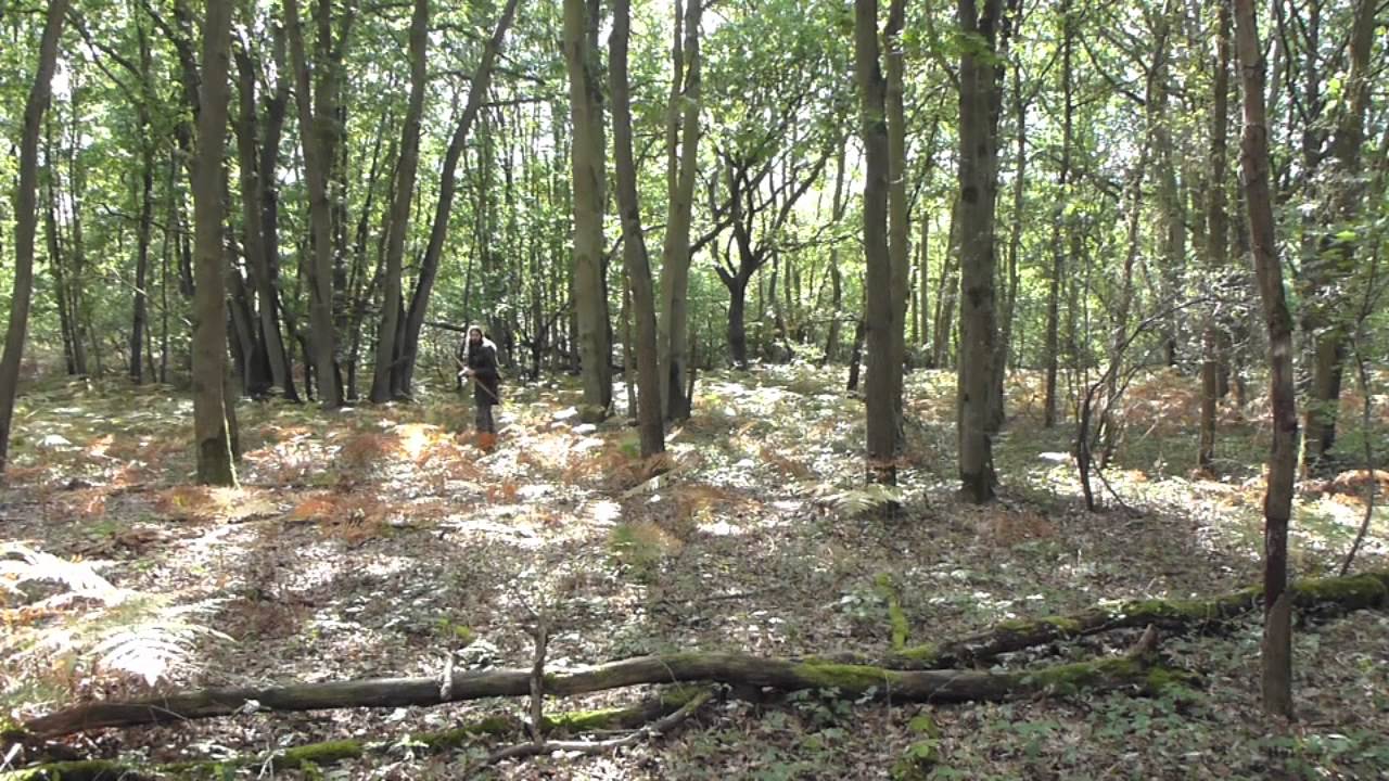 Longbow Stump Shooting