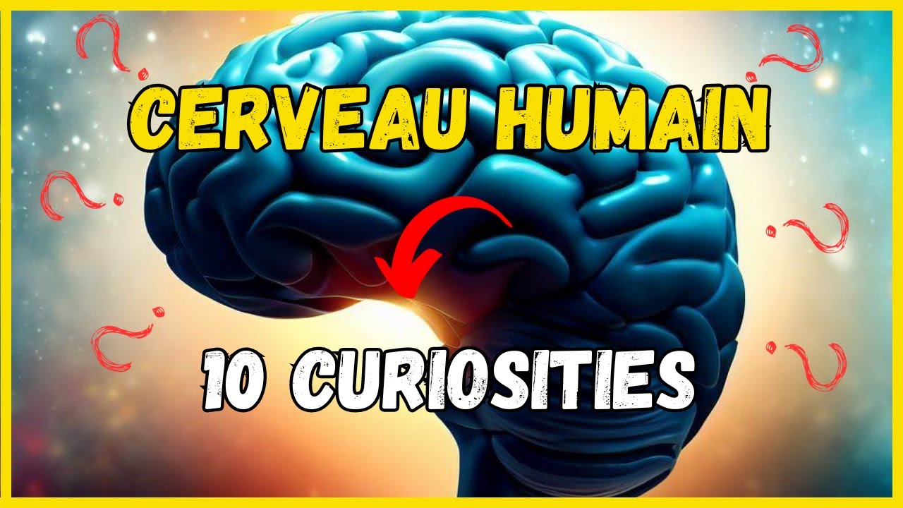 10 D&Eacute;COUVERTES SURPRENANTES SUR LE CERVEAU HUMAIN !