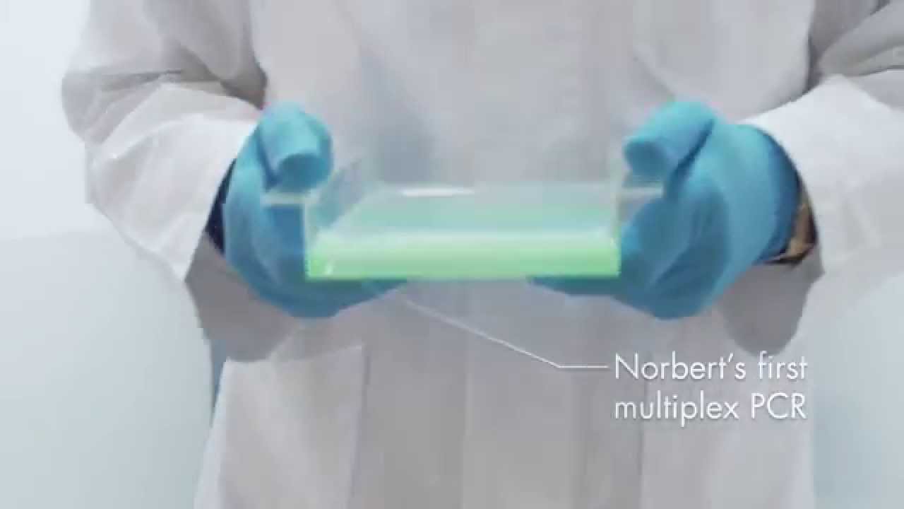 Instant Success for Multiplex PCR