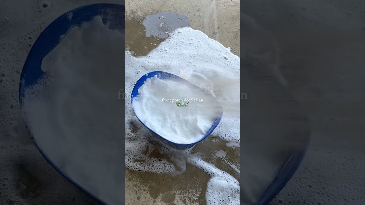 scrubbing down the front porch will keep the unwanted critters away! 🦟🐜🕷️🪰