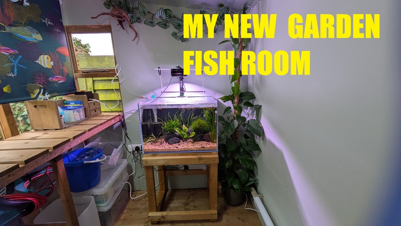 GARDEN FISH ROOM