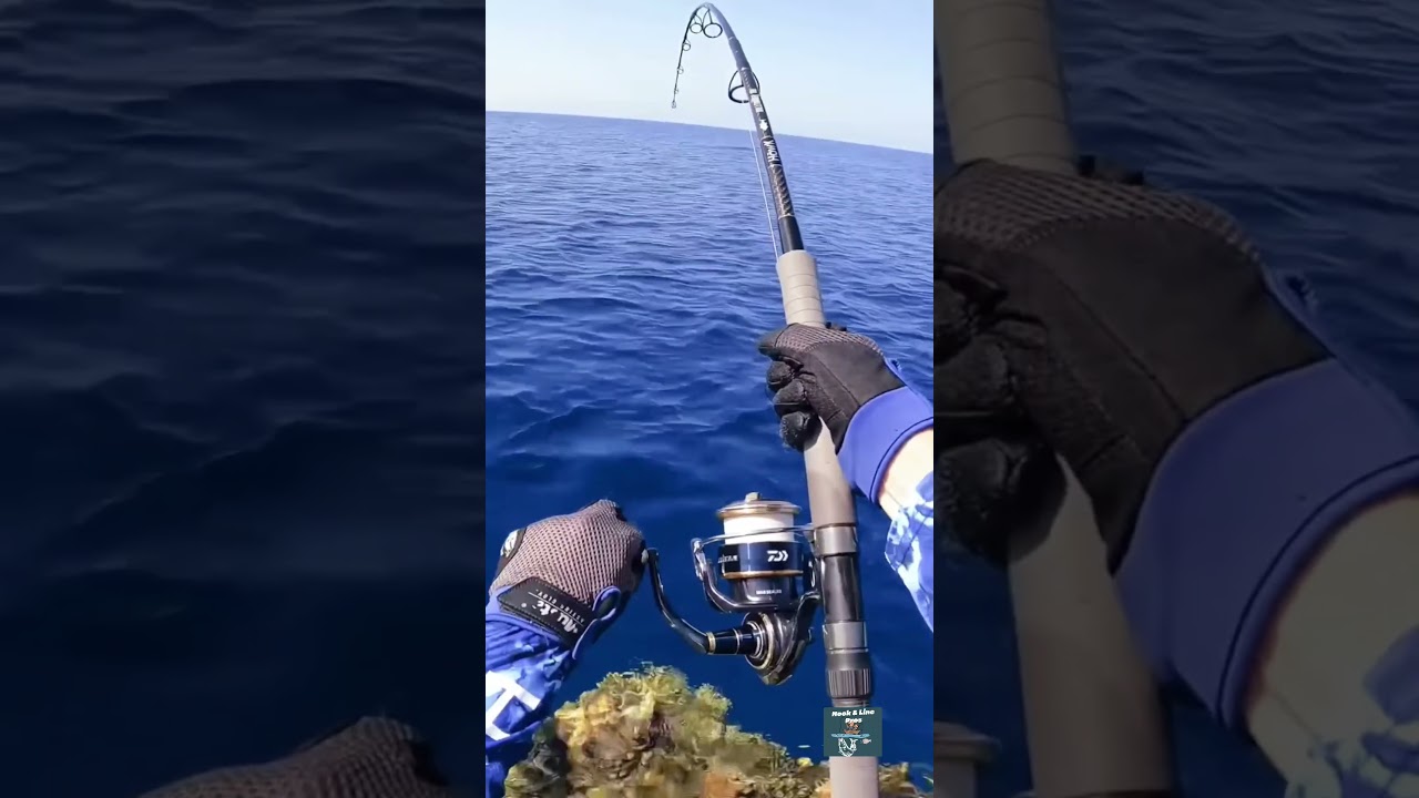 #Hook & Line Pros#fishing #shortsyoutubevideo  #diy #fishingknot #fishingmethod