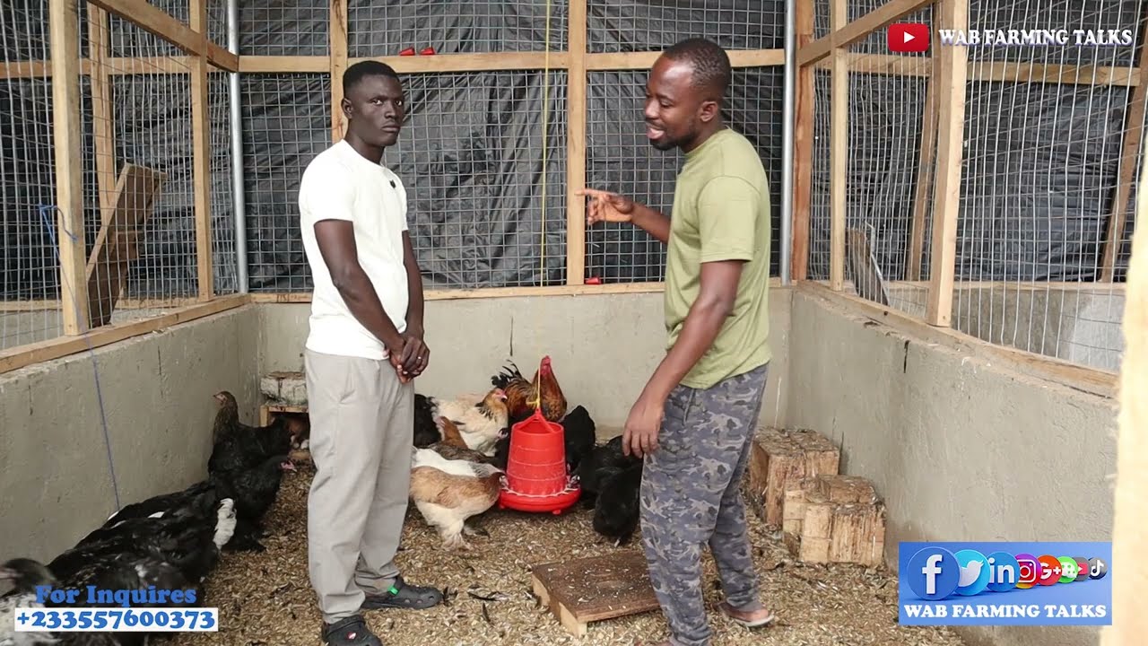 Start Poultry Farming and Make Profit | Complete Beginner’s Guide
