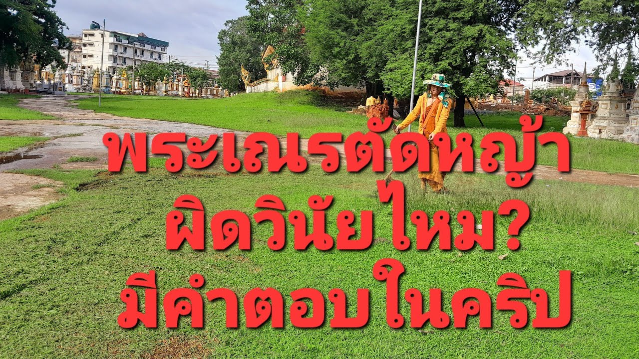 พระเณรตัดหญ้าผิดวินัยไหม?(ພຣະເນນຕັດຫຍ້າຜິດວິນໄນຫຼືບໍ່?)