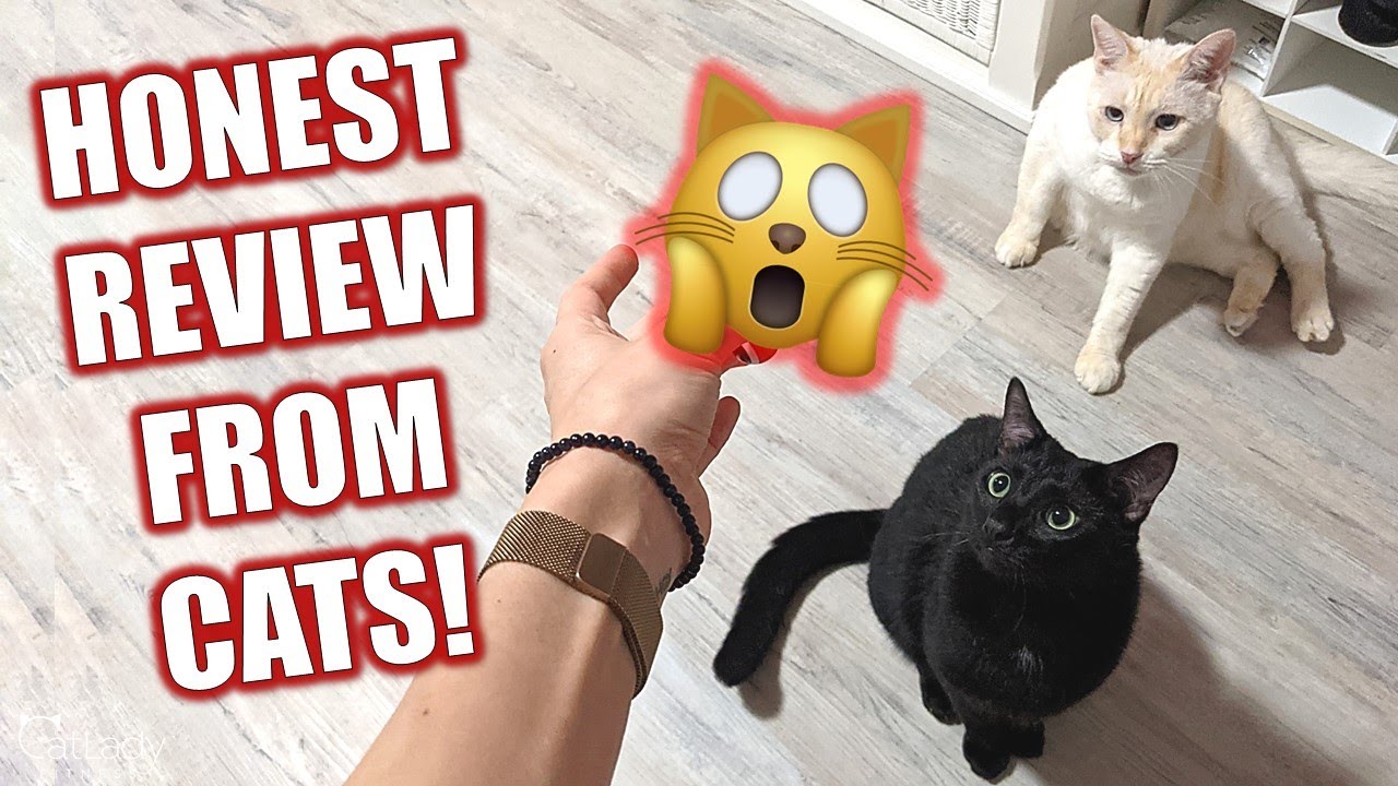 Crazy goldfish mimicking Kitifish cat toy 🐠🙀 IS IT KITTY APPROVED?