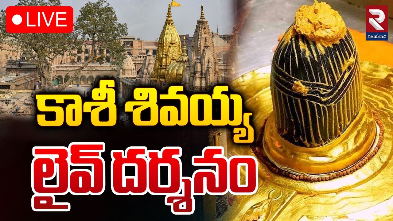 🔴LIVE: Lord Kashi Vishwanath Darshan Today | కాశీ శివయ్య లైవ్ దర్శనం | Kashi Live | RTV Vijayawada