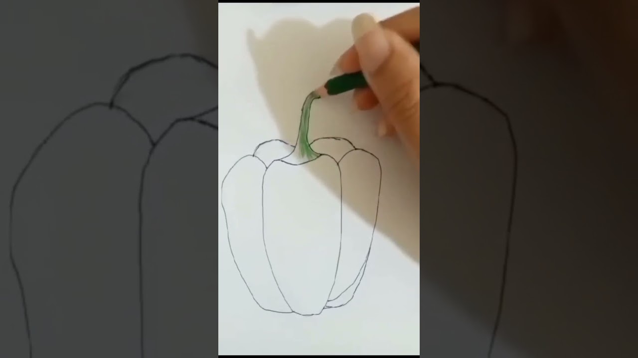 How to draw Bell pepper/ Bell pepper easy drawing #shortvideo