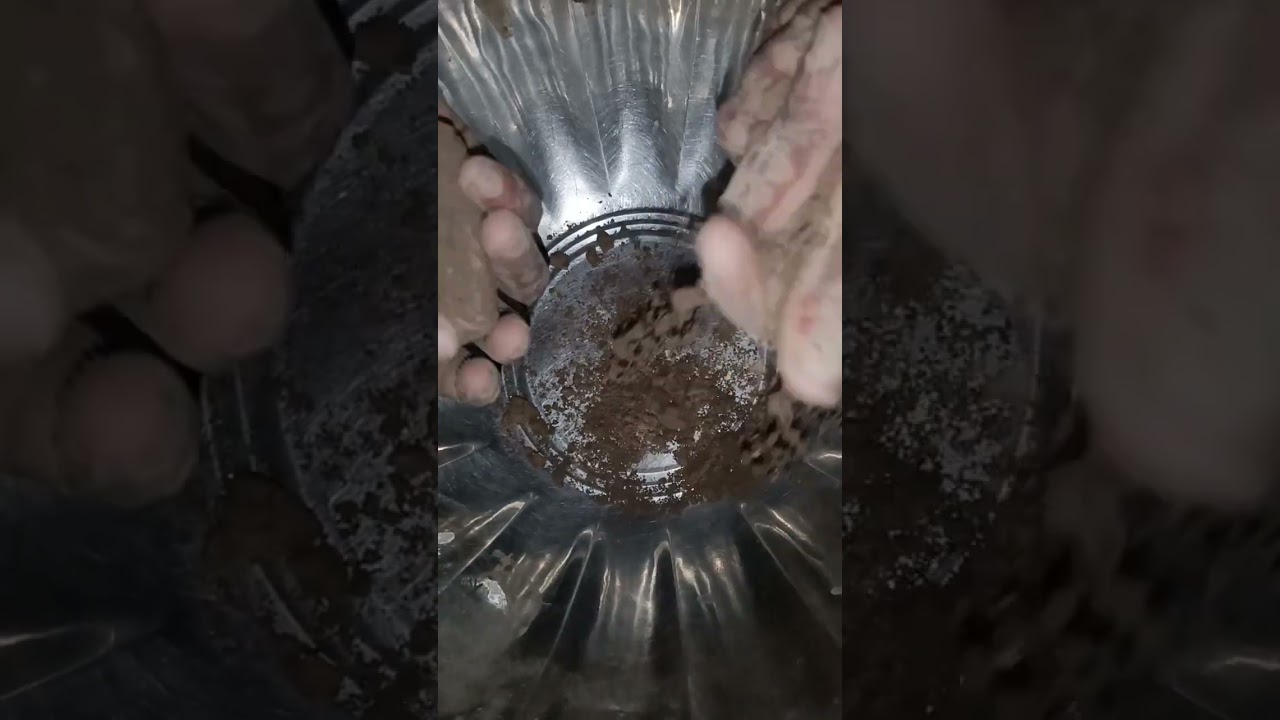 Grey Dirt Dry Crumbling Satisfying 