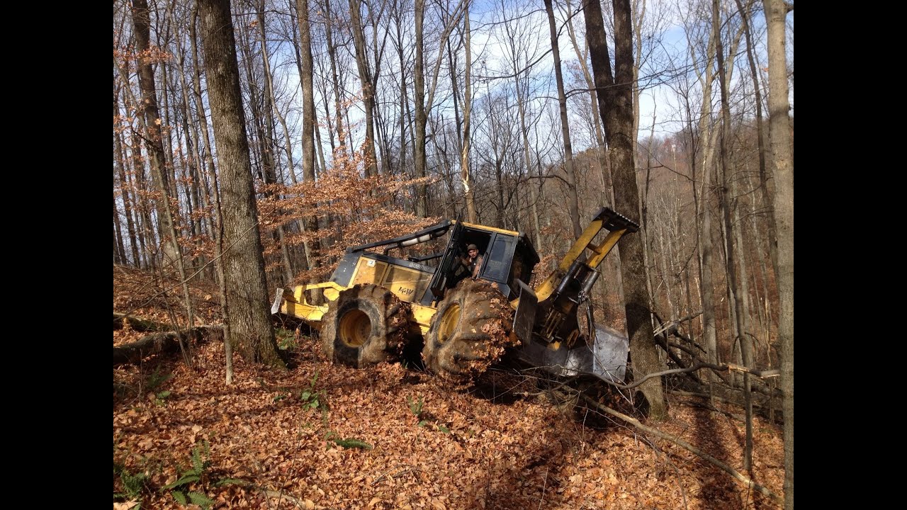 Logging Hardwood, Over the hill