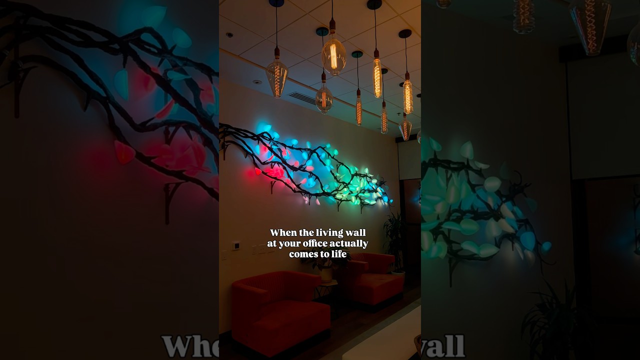 A real living vine wall in the office 