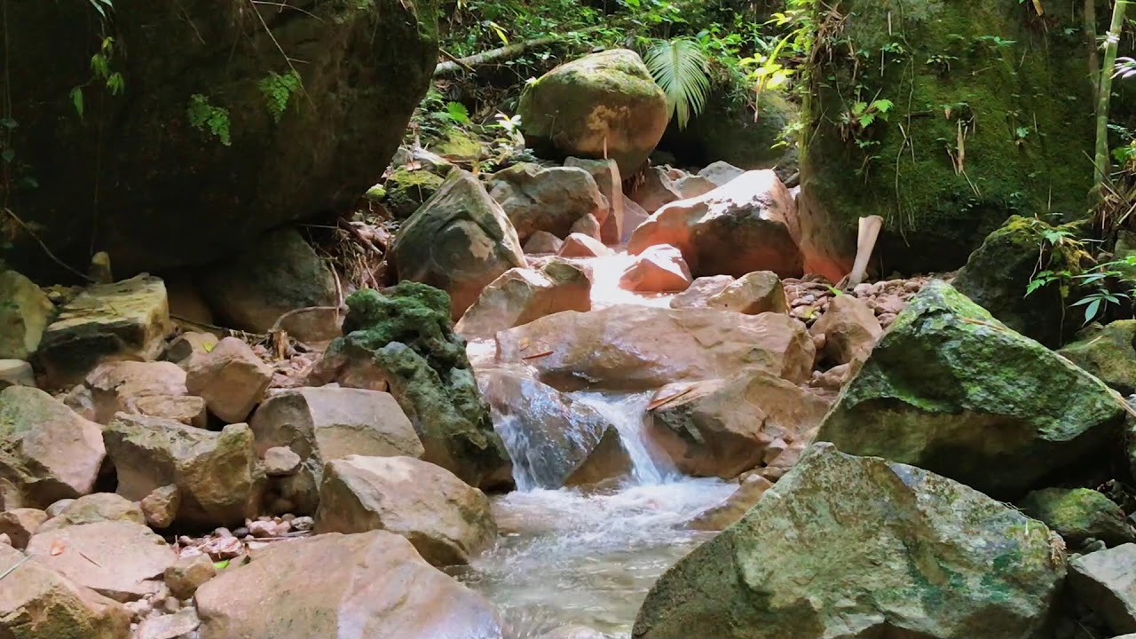 Deep Nature Sounds with Peaceful Vibes for Stress Relief, Self-Care & Reading