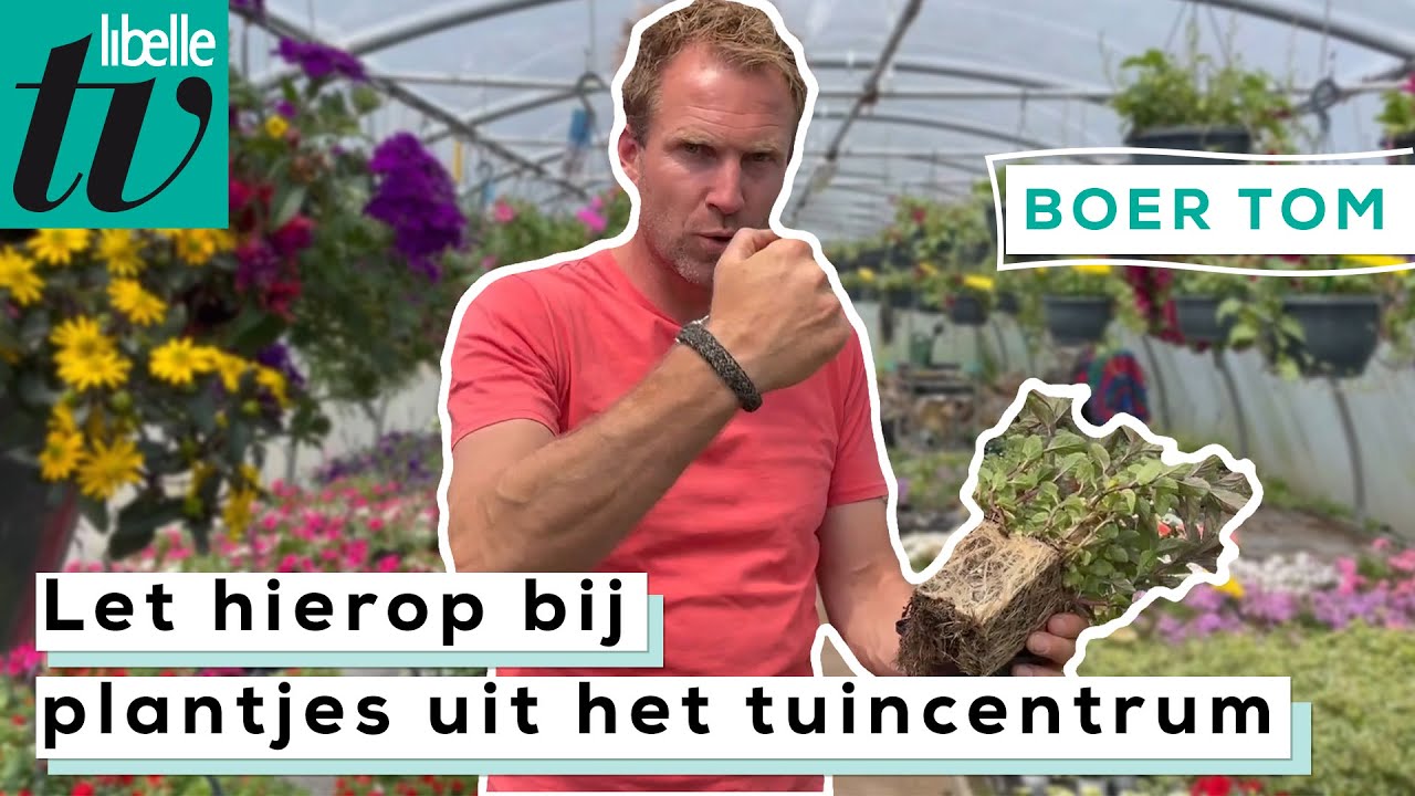 Planten kopen in een tuincentrum: tips en tricks - Libelle Boer Tom
