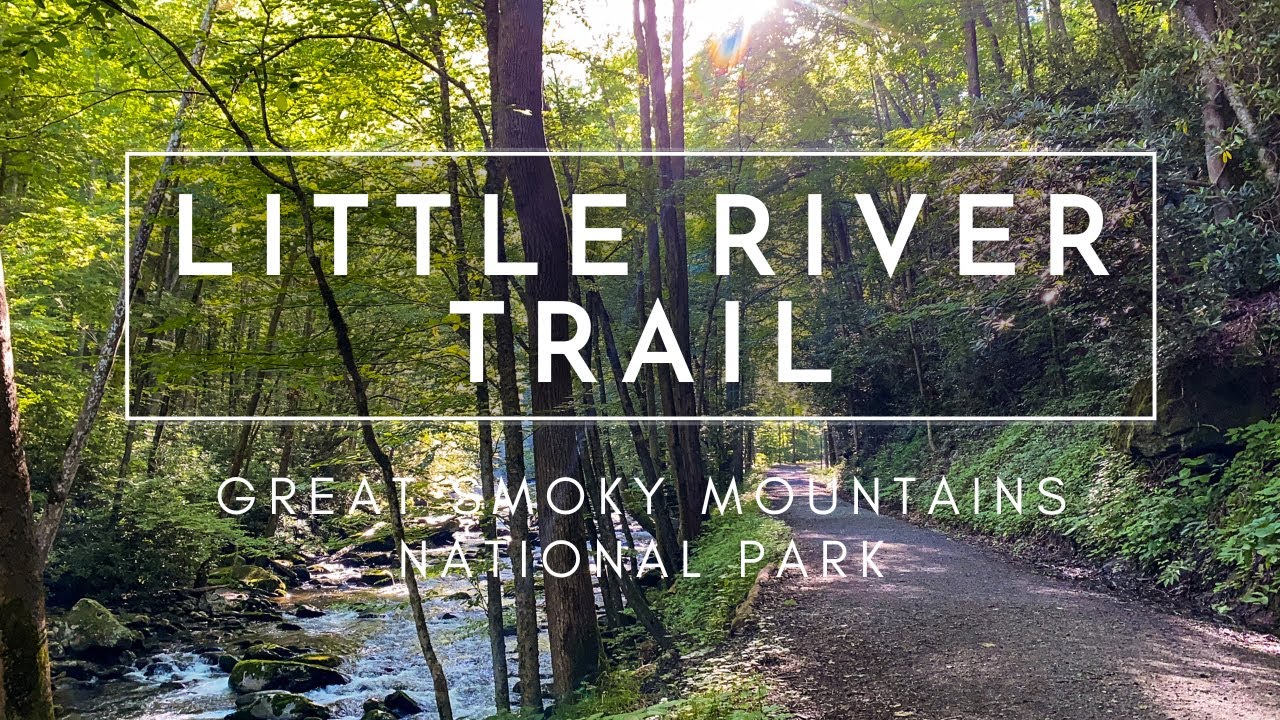 Hiking in Nature (NO MUSIC) - Little River Trail in Great Smoky Mountains