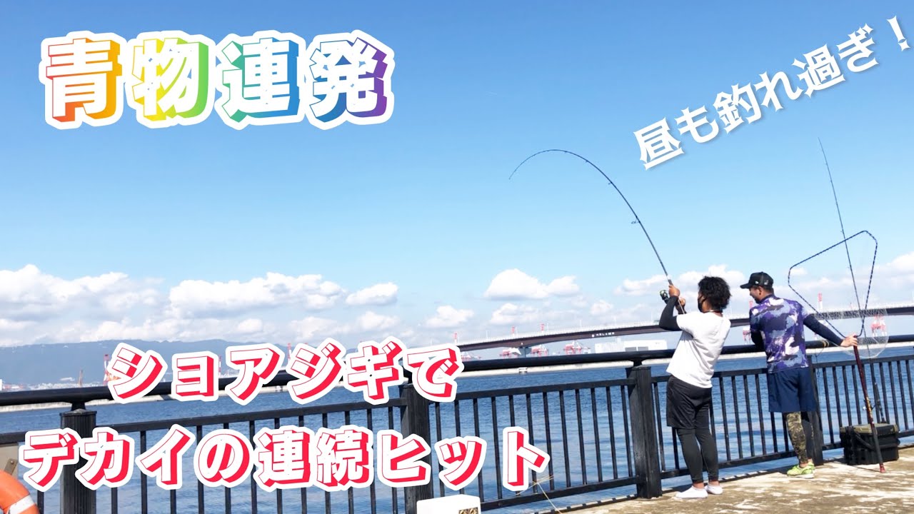 【神戸空港ベランダ】昼も青物が釣れる無料の釣り場がアツイ！ルアーもヒットパターンも解説！　　　武庫川一文字　貝塚人工島　ショアジギング