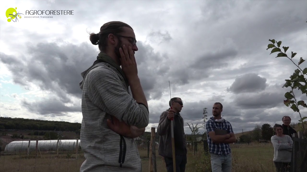 Conseils pour plantation agroforestière - Dempsey Princet