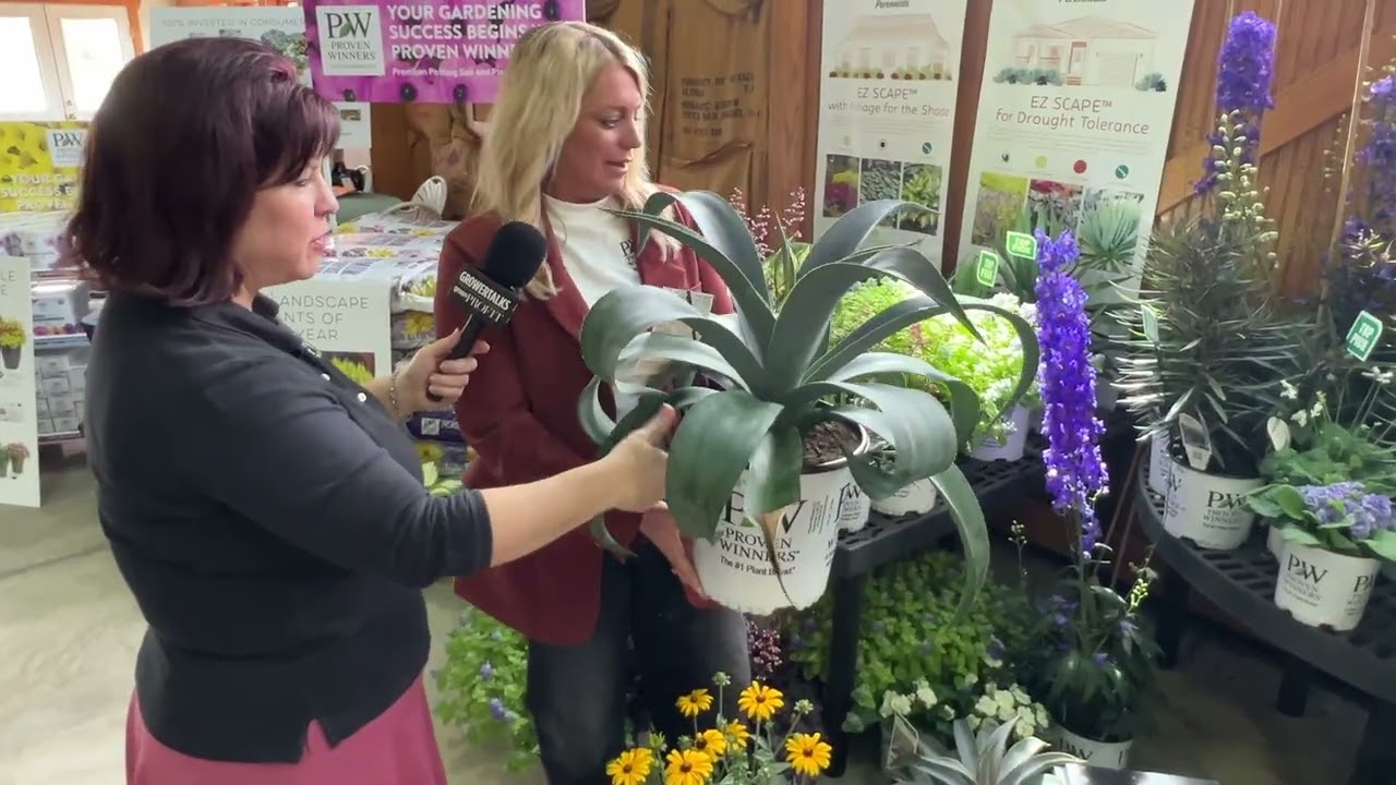 Walters Gardens Perennials from Proven Winners for 2026