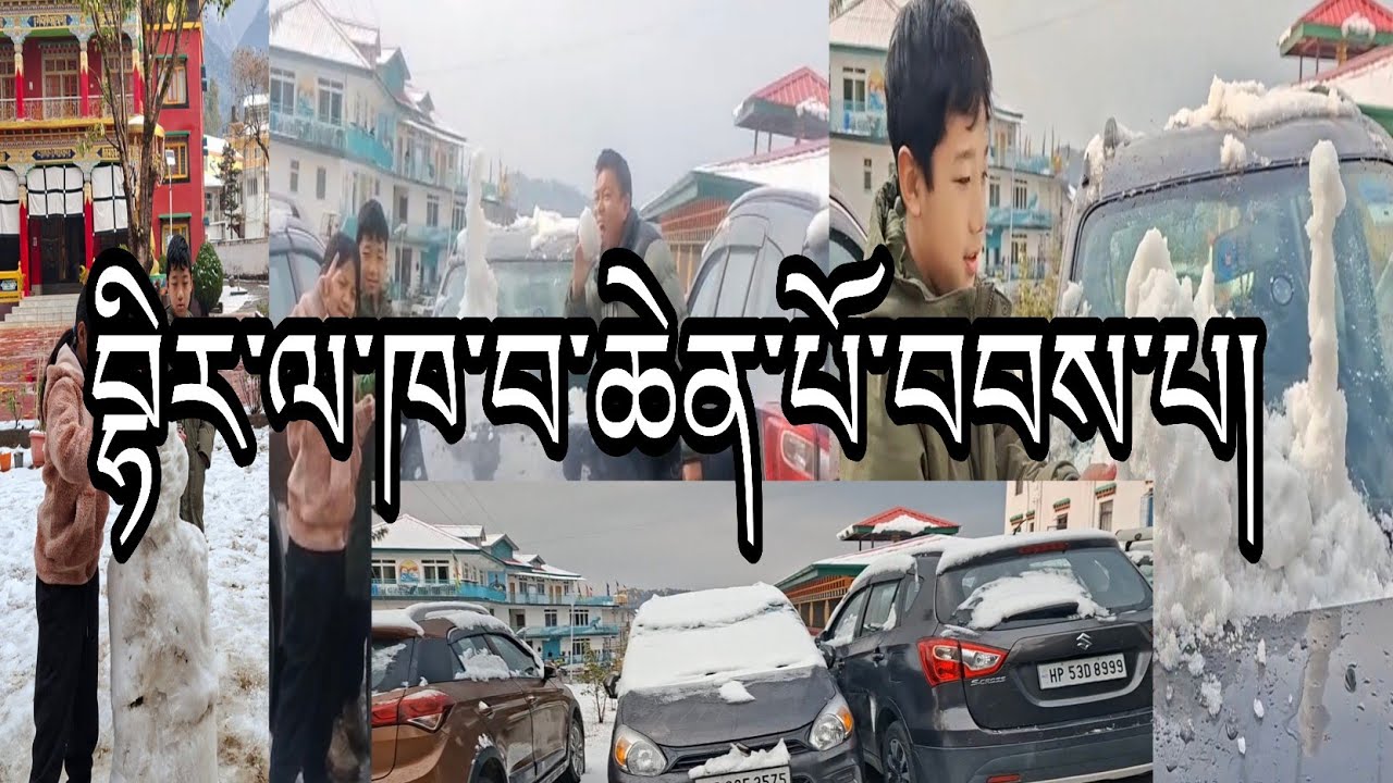 30 years later Heavy snowfall in Bir.| #tibetan #vlogger #YouTube 