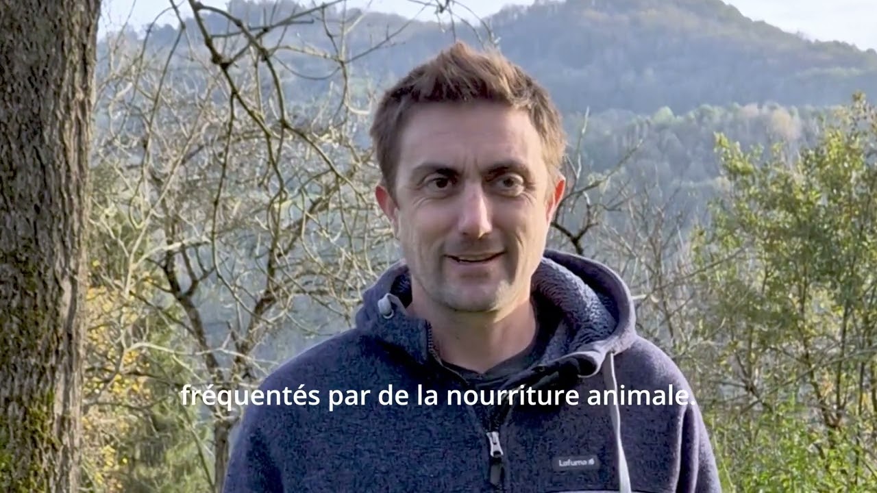Préserver la montagne et défendre le pastoralisme
