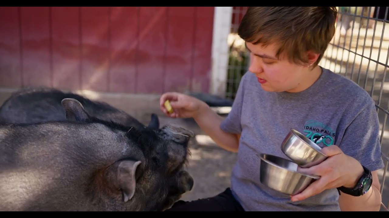 The Day in the Life of a Zoo Keeper - Meet Kathryn our Kids Zoo Keeper!
