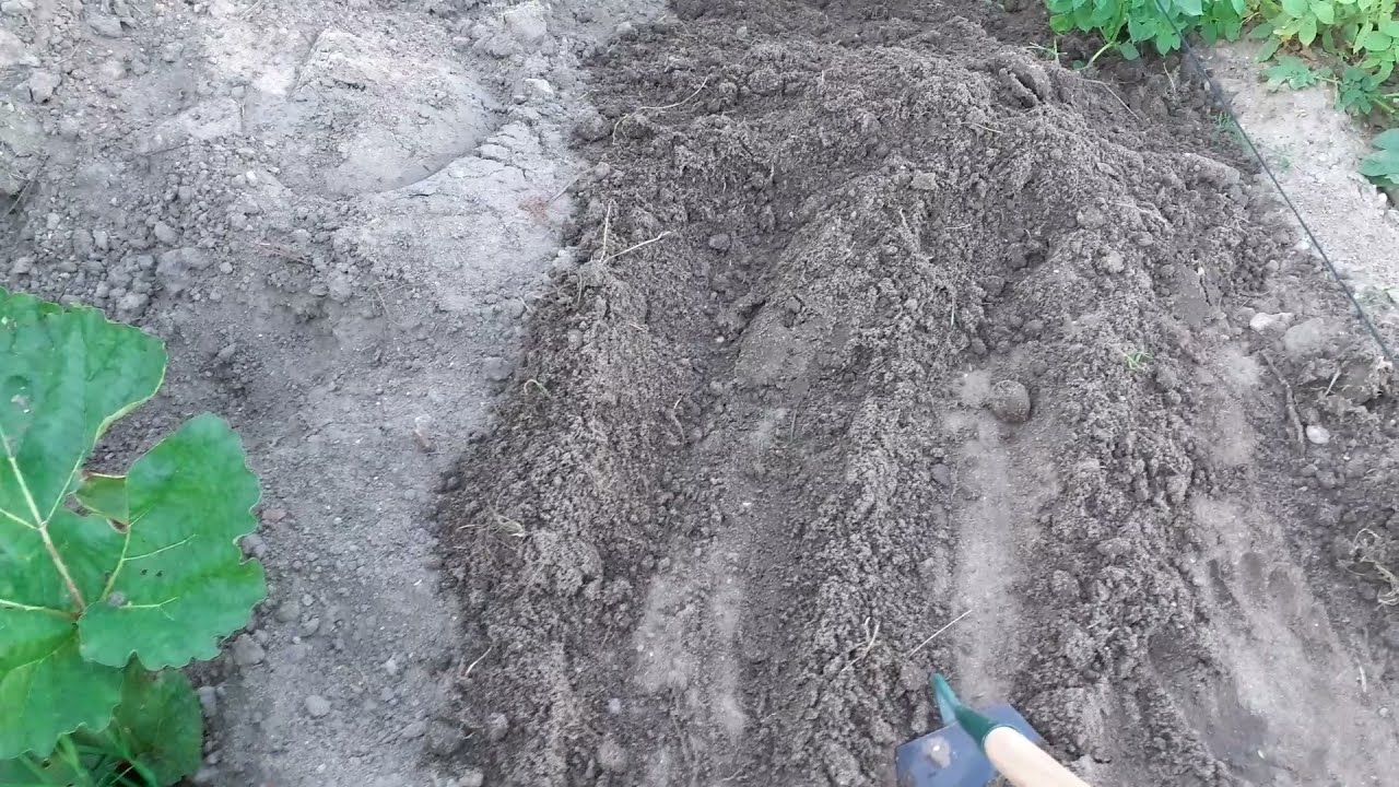 Rozgarnywanie ziemi na polku/nowa wiata !!!