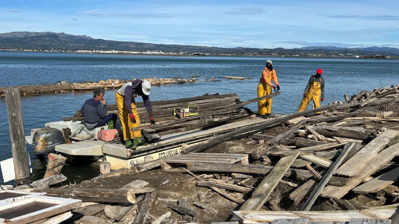 Els danys de la ventada superen els del Glòria al delta de l’Ebre