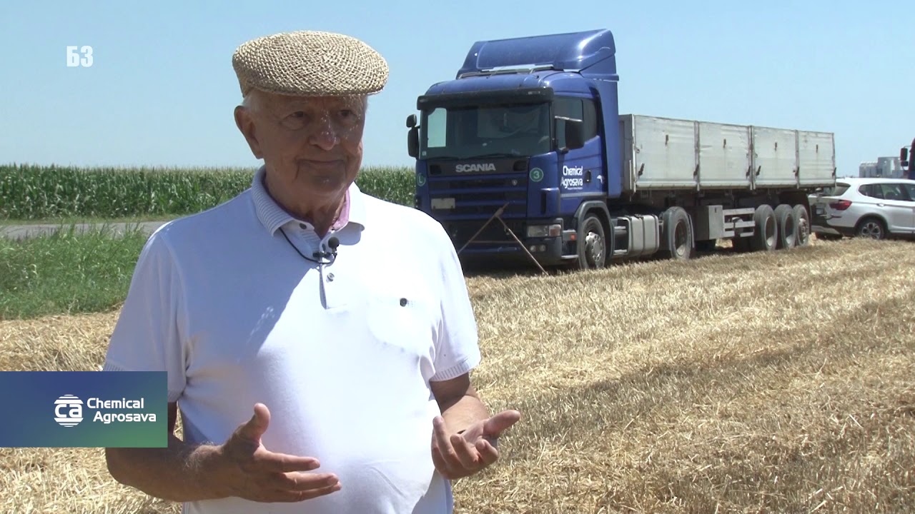 Da li je MOGUĆE - rekordni prinosi PŠENICE čak i 2020 - ALI KAKO I GDE ??!