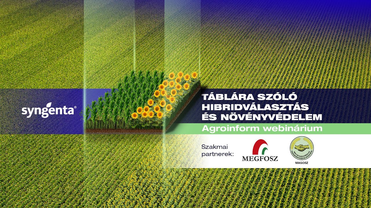 Táblára szóló hibridválasztás és növényvédelem - Agroinform webinárium