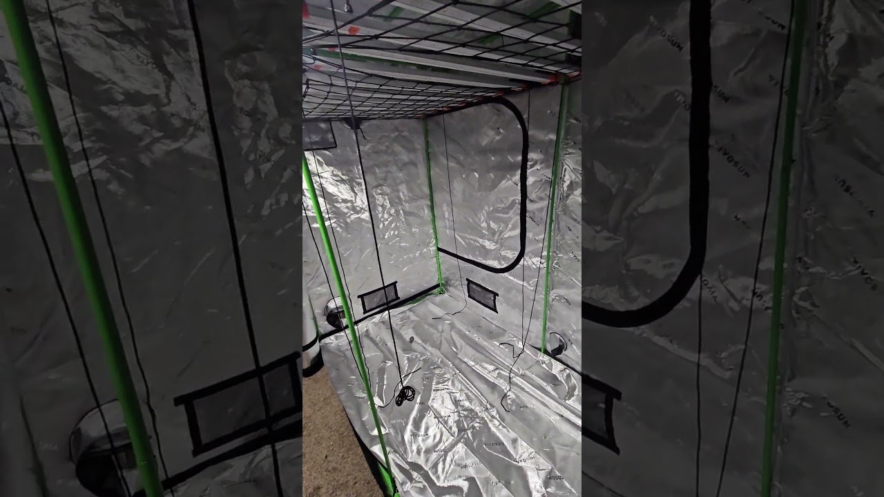 4x8 grow tent set up!!! perpetual time!