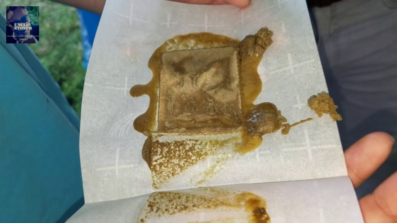 Squash Off Rosin pressing competition