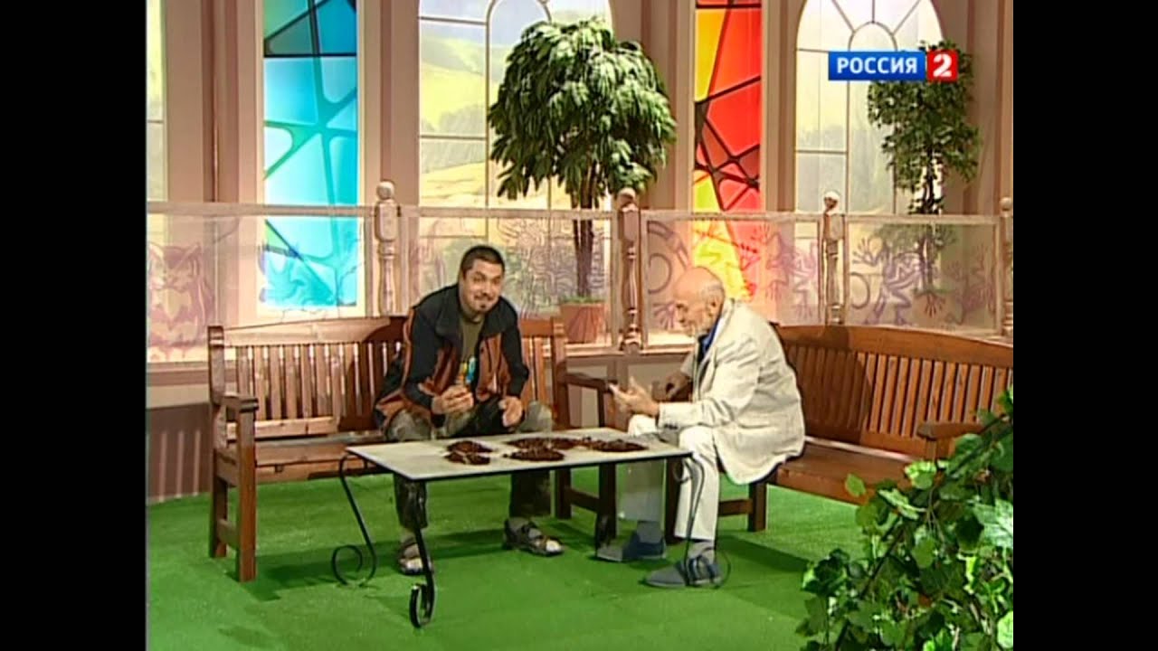 Кивсяки