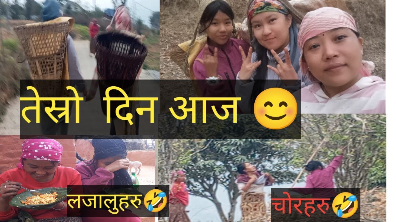 गाउँ  घर तिर कति रमाइलो  हुने हाम्रो काम चाई चलिराछ है 🤣🤣#SanuGaha #villagelife 