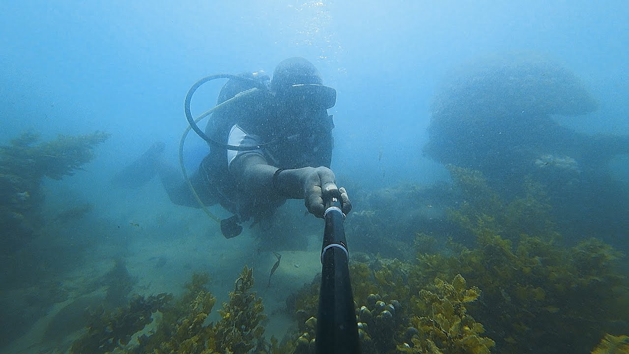 Scuba Diving off the coast of Mombasa