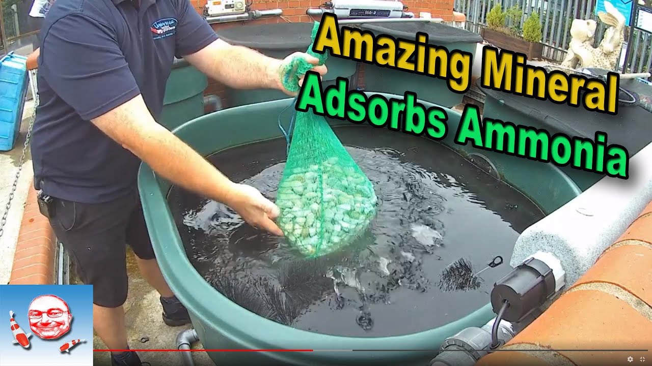Удивительный минерал, поглощающий аммиак.