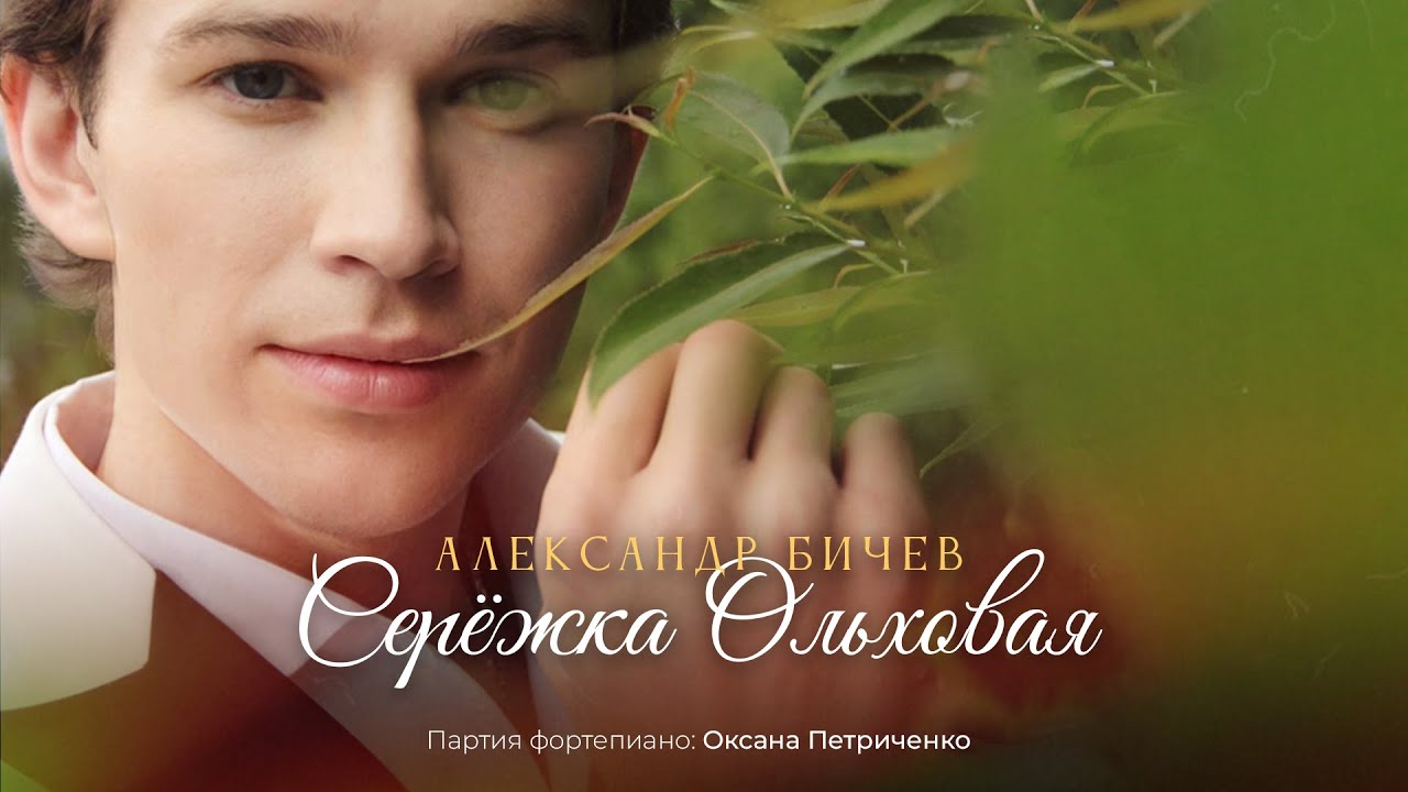 Александр Бичев - 