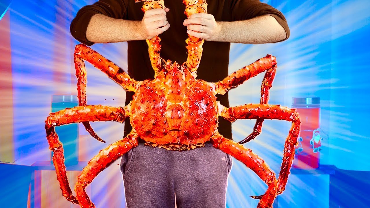Plus gros crabes du monde | Nous avons préparé 1500 $ de crabe par VANZAI CUISINE