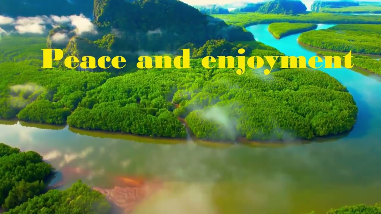 Peace and enjoyment in nature.