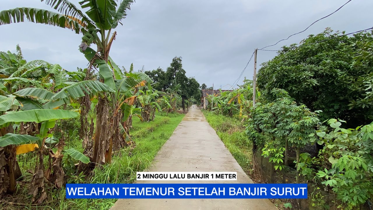 PASCA BANJIR RENDAM WELAHAN TEMENUR JEPARA 