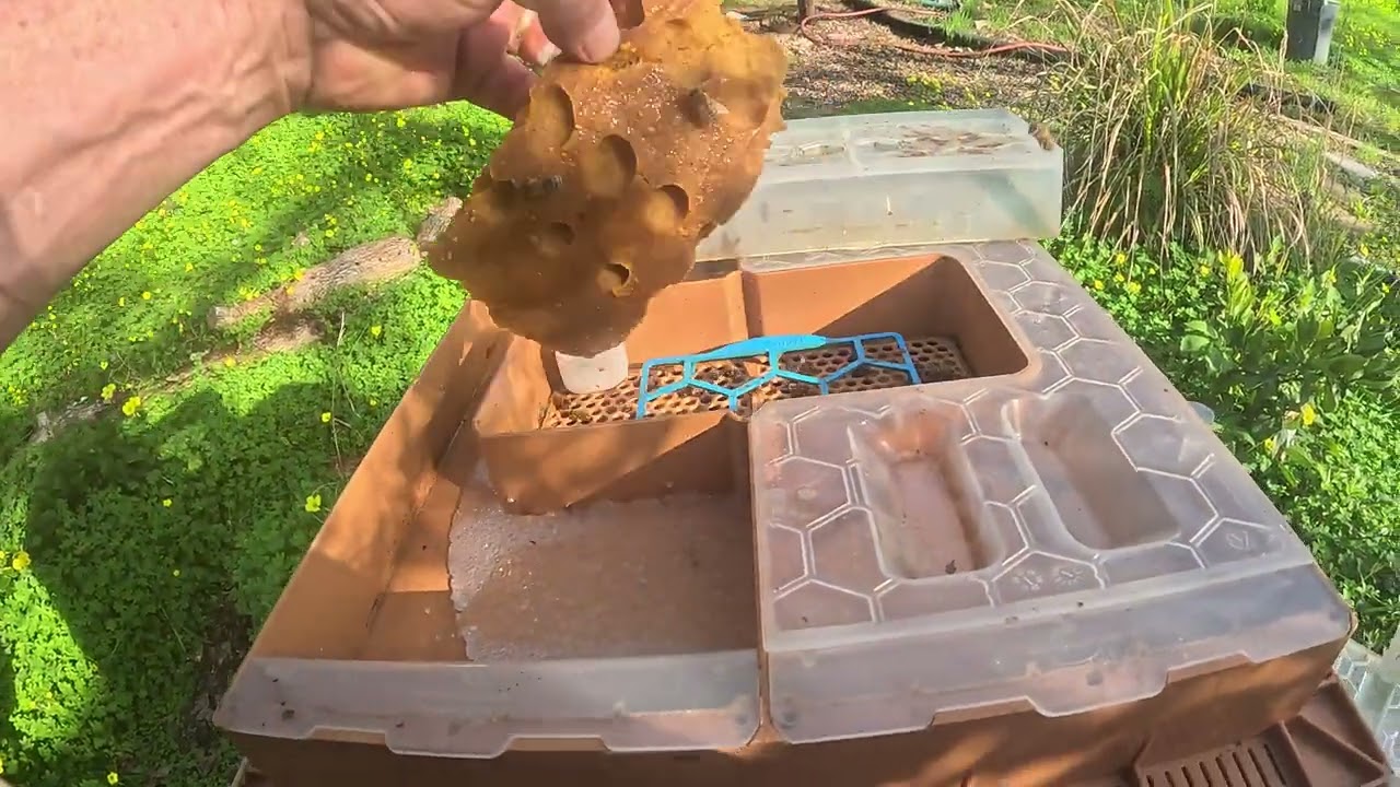 Hive2 Quick look under the hood, and prep feeder 