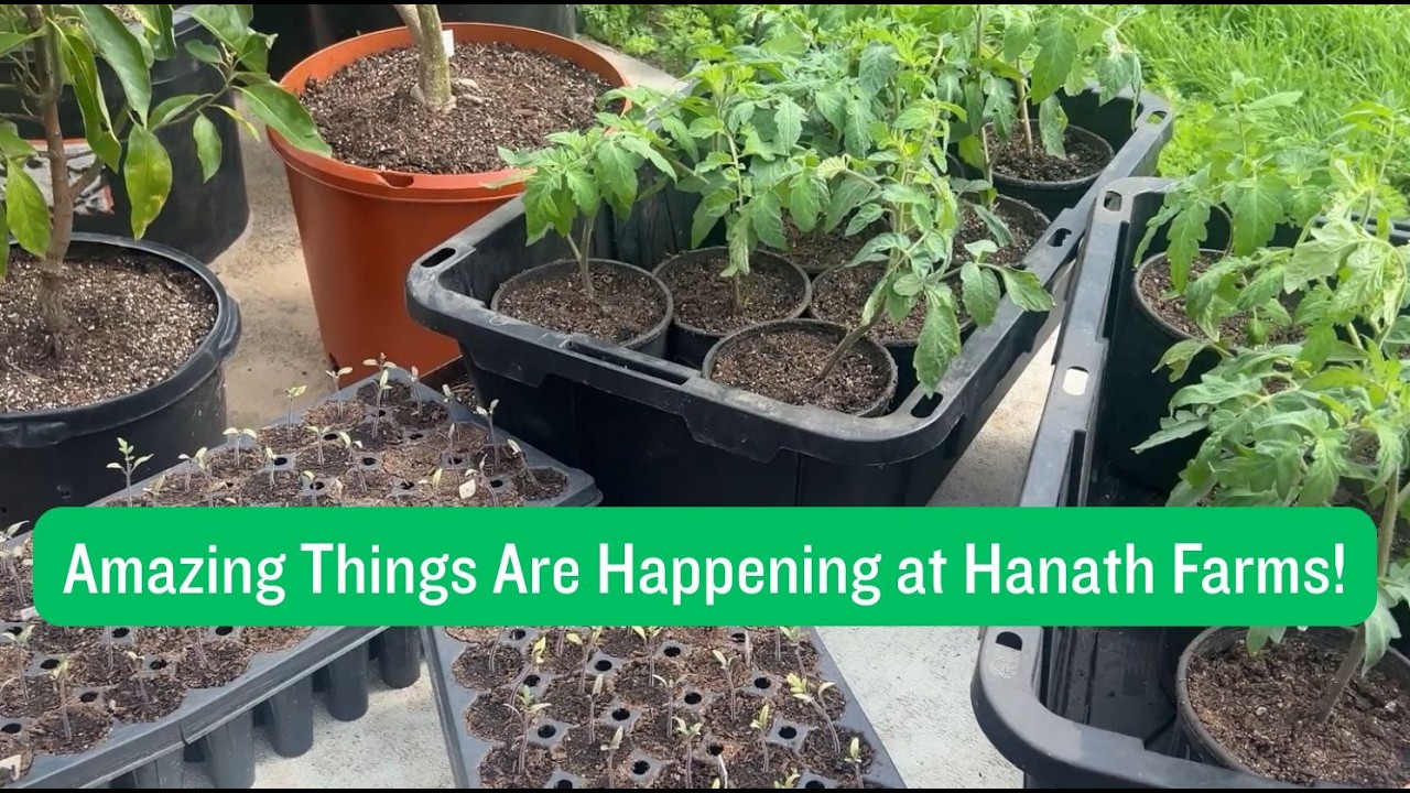 A Visit to Hanath Farms -  An Amazing Place