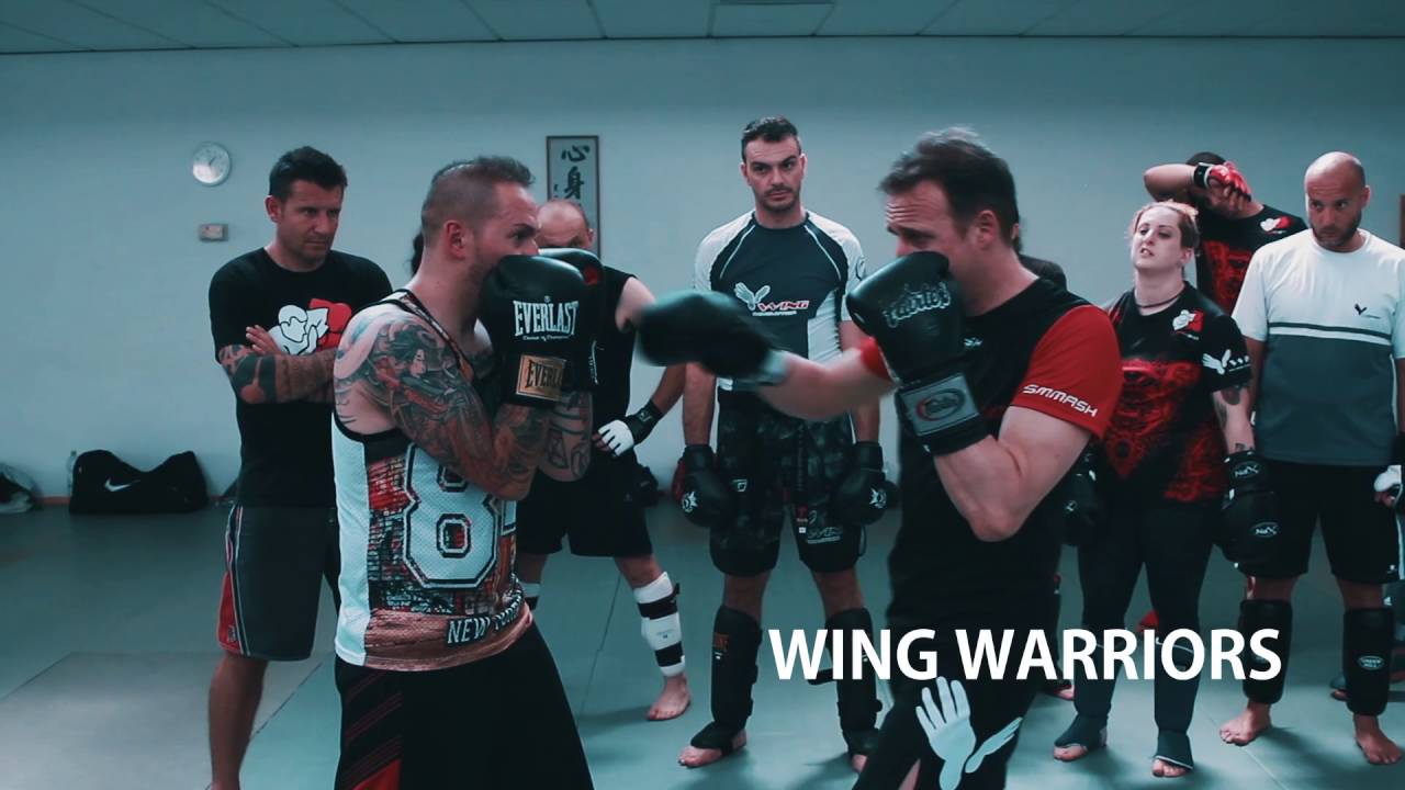WING FIGHT ITALIA