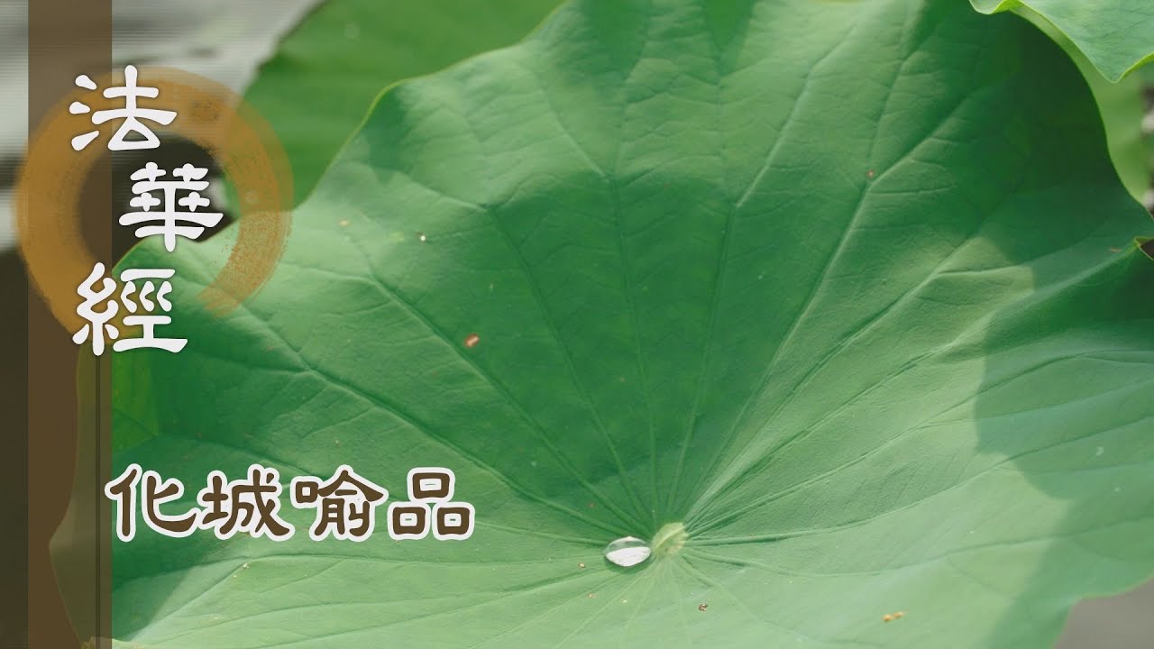 【靜思妙蓮華】法華經化城喻品 - 隨境會法 理事融會 - 20220120 第1072集