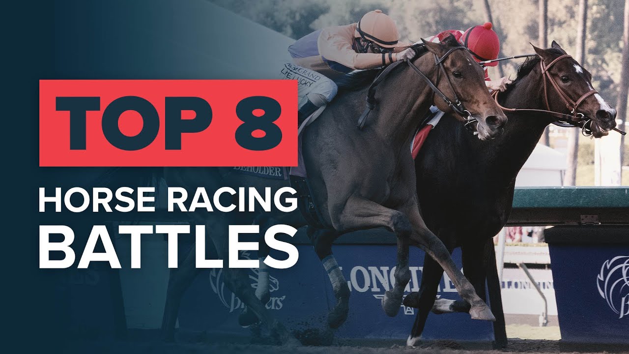Best Horse Racing Battles! | Top 8 Duels Of All | 2016 Breeders' Cup Distaff | 2011 Melbourne Cup